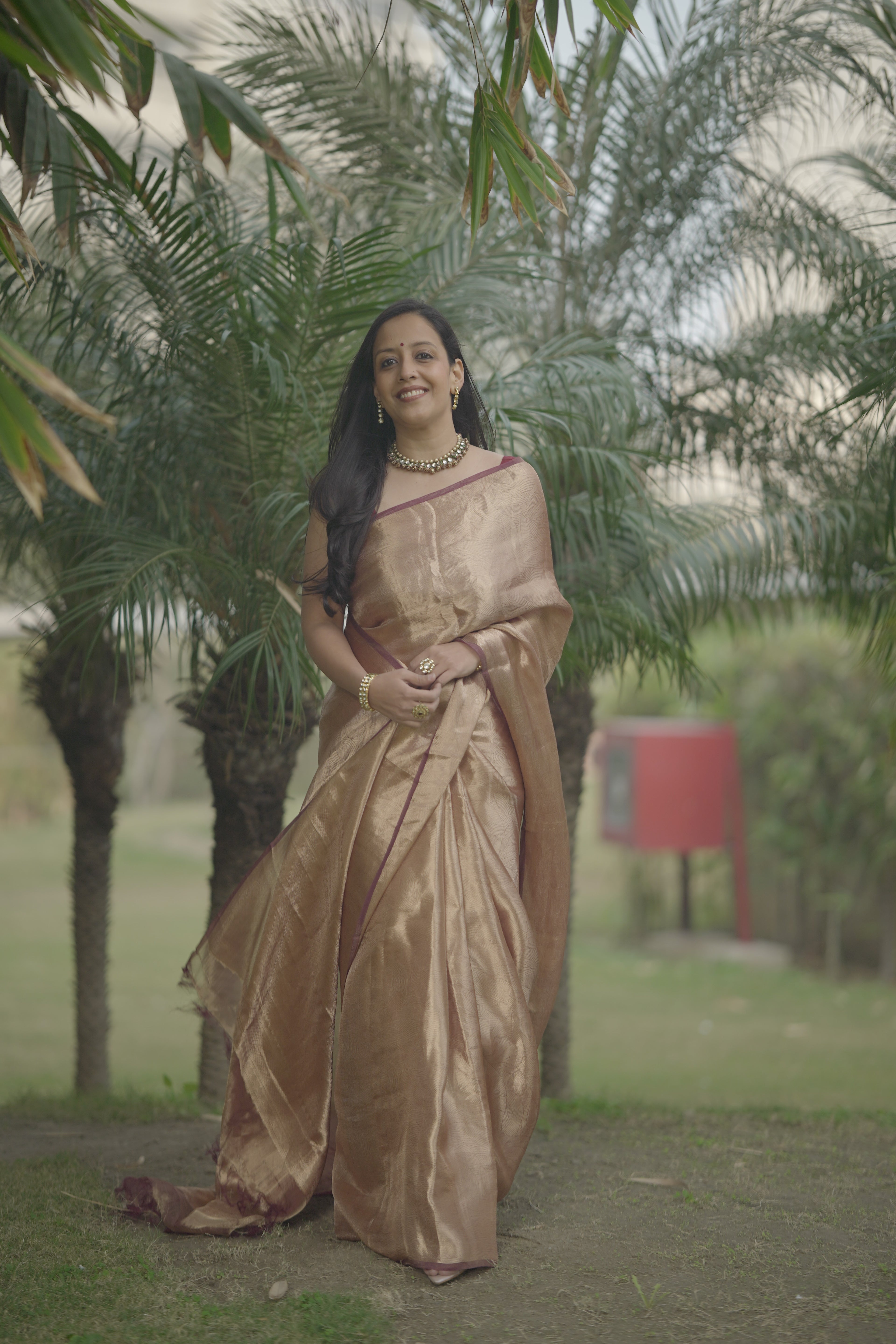 Coffee Gold Silk Brocade saree